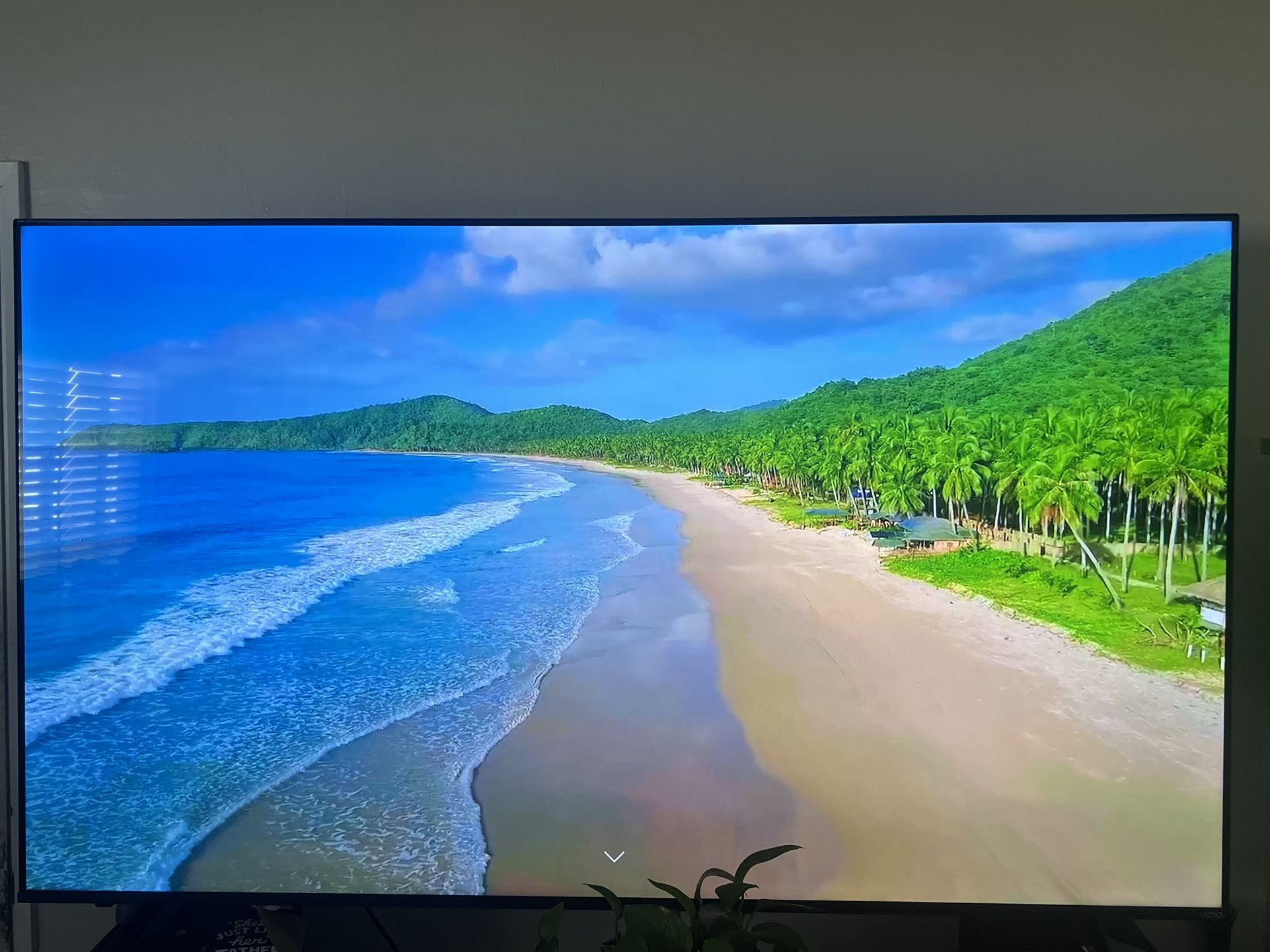 75 in Vizio Smart Tv