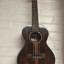 Kala Ukelele (concert)