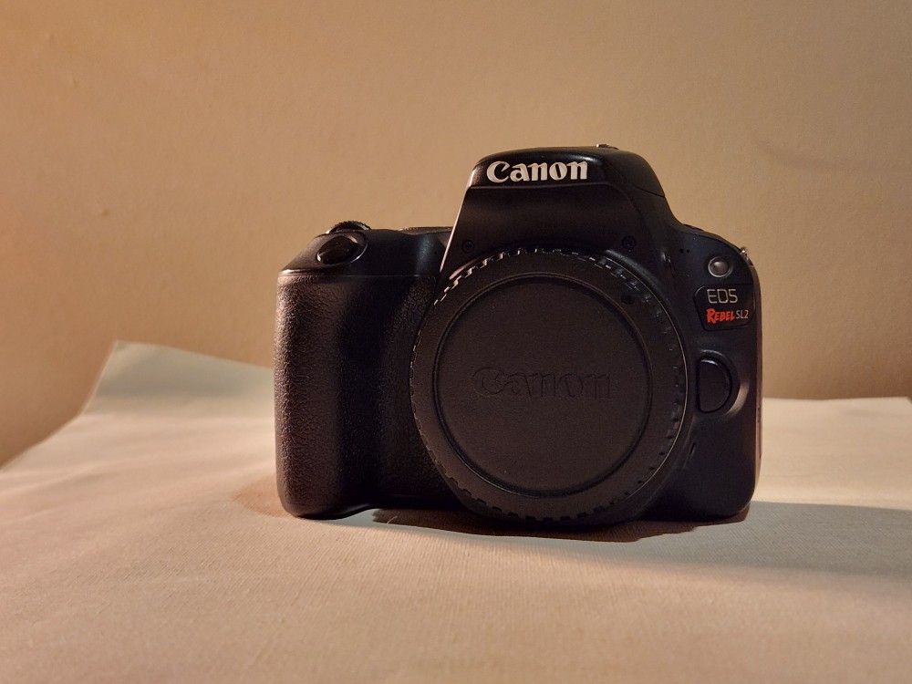 Canon Rebel SL2 w/ 3 lenses