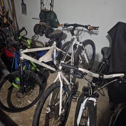Mountain Bikes
