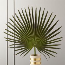 CB2 Fan Palm 50"