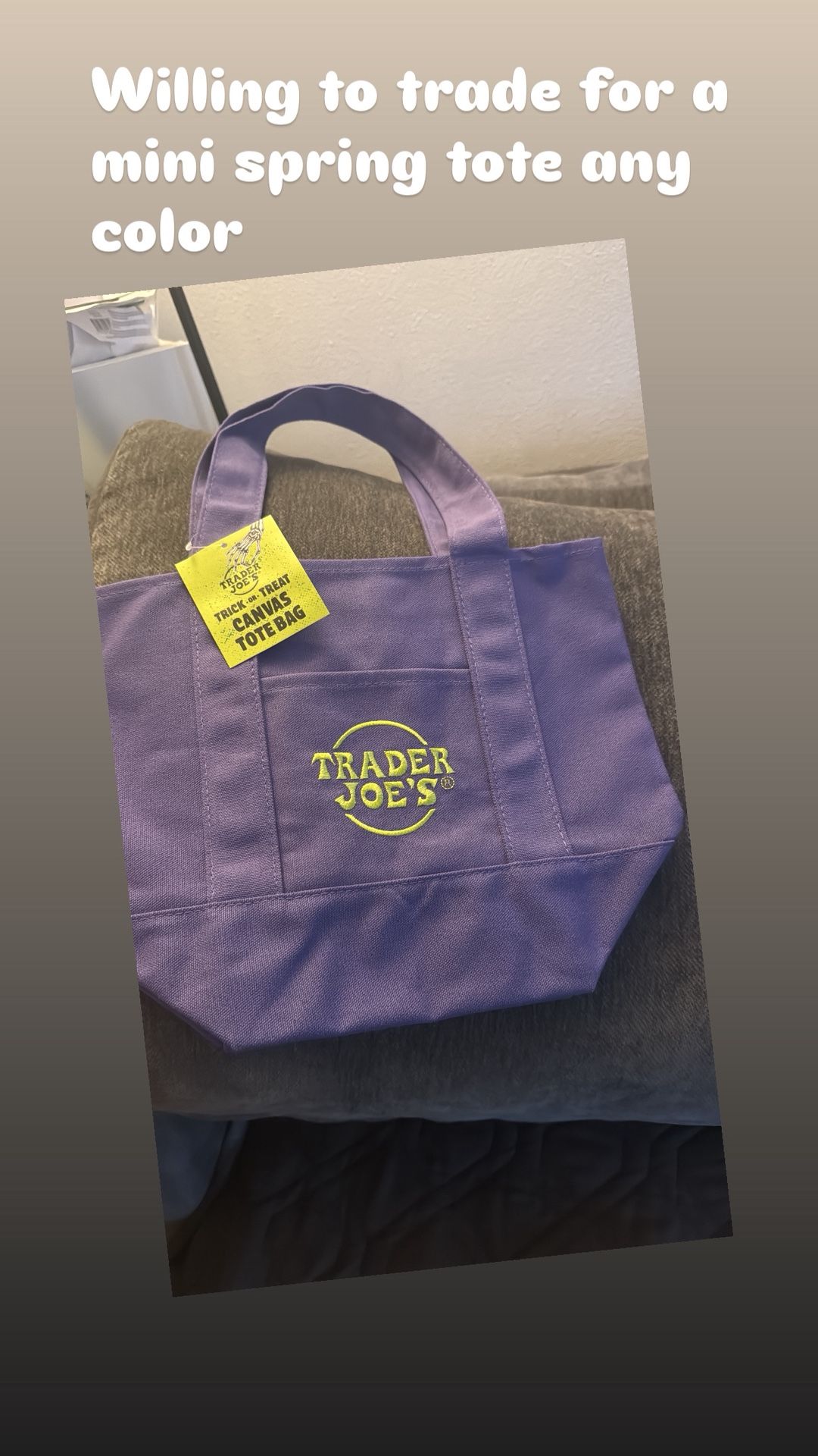Trader Joes Halloween Mini Tote Bag