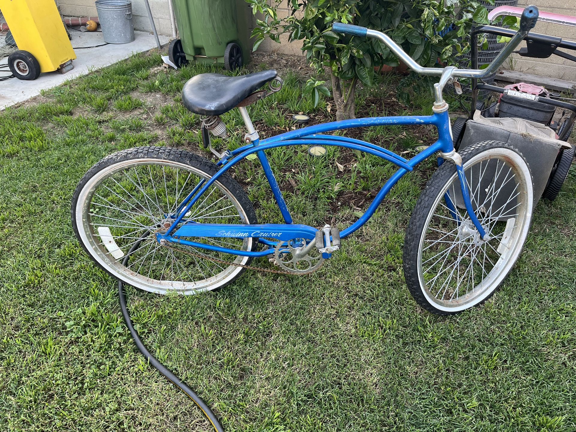 Schwinn Beach Cruiser