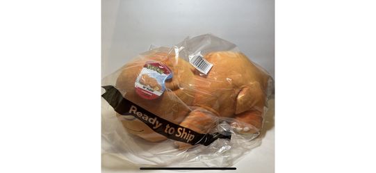 A Pokemon Sleeping Charmander Plush 18 Inch - NEW IN BAG WITH TAG!