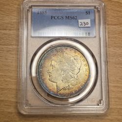 Toned Morgan Dollar 