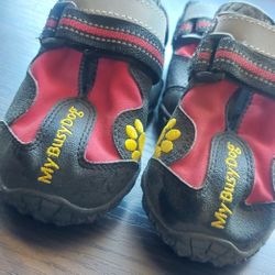 Dog Shoes 