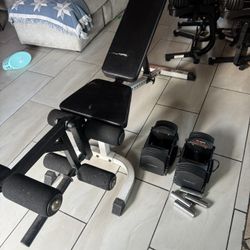Pro series Adjustable  powerblocks Weights 5-50lbs plus body solid adjustable  bench 