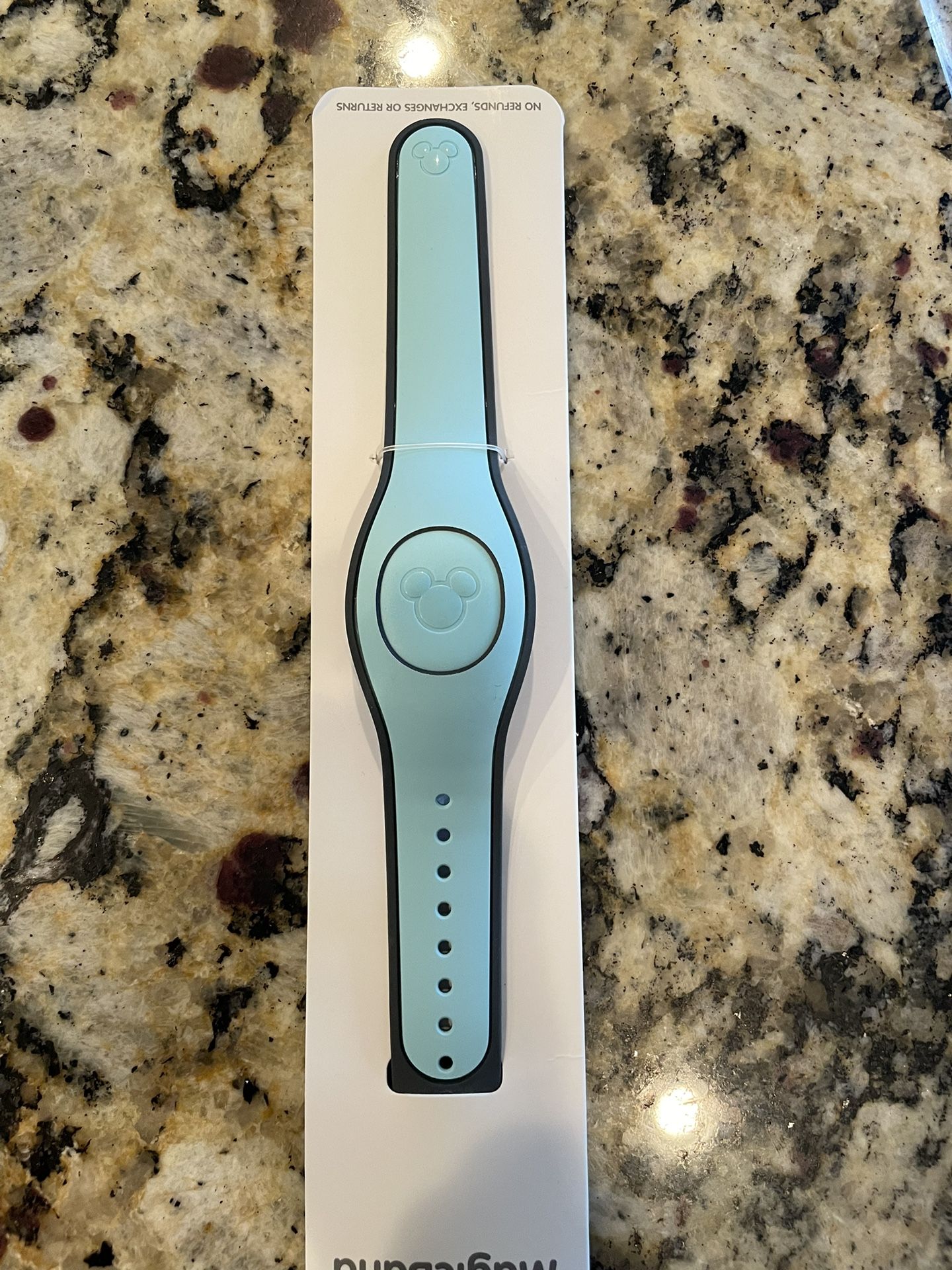 Disney Magic Band
