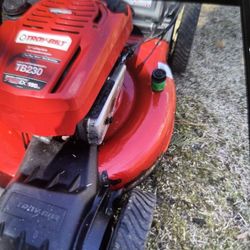 Troy Built 230 Model 