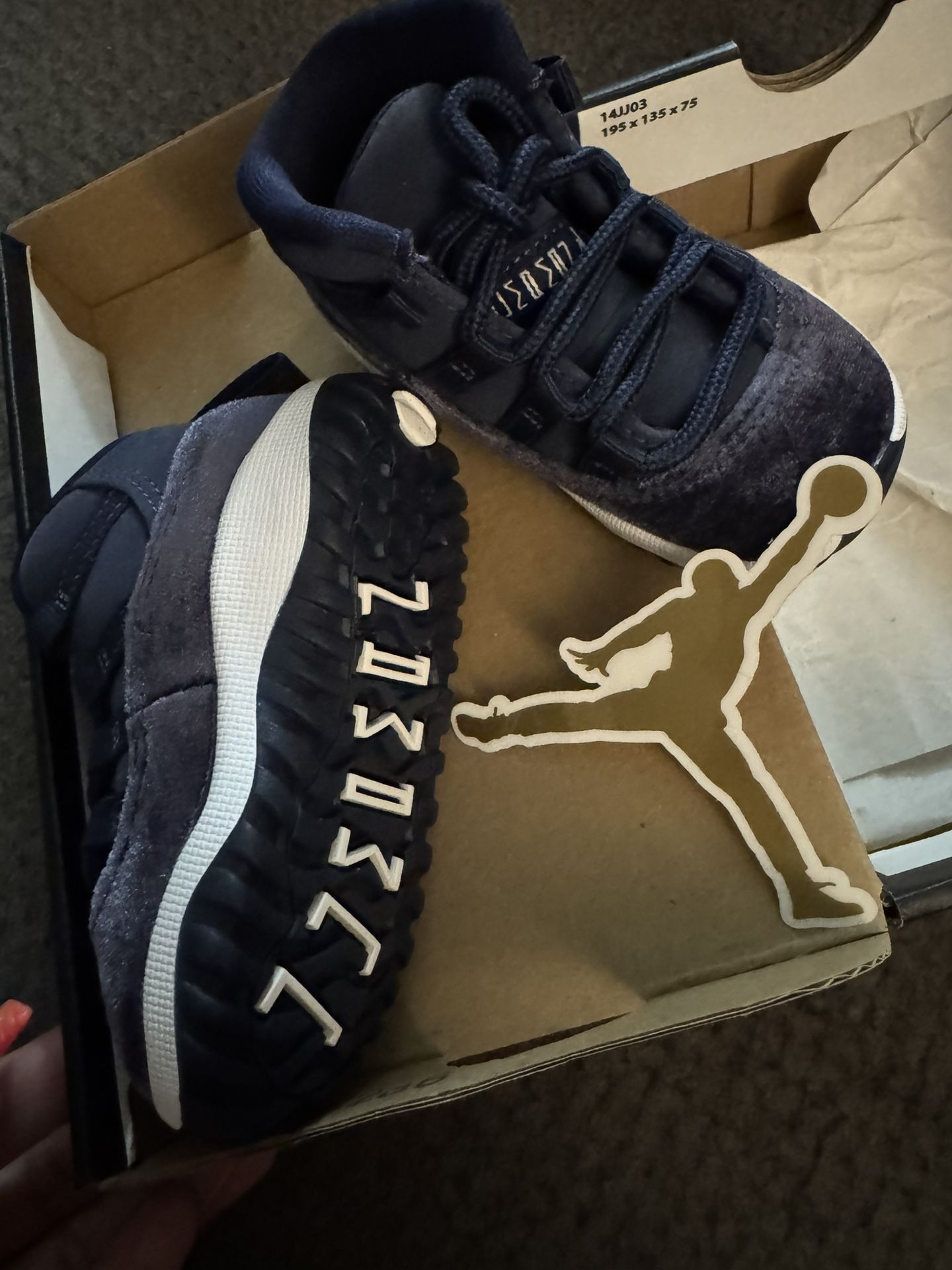 Jordan 11 Retro TD