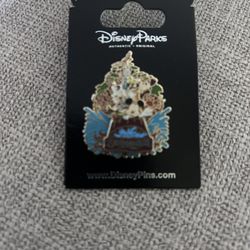 Disney Park collectible pin