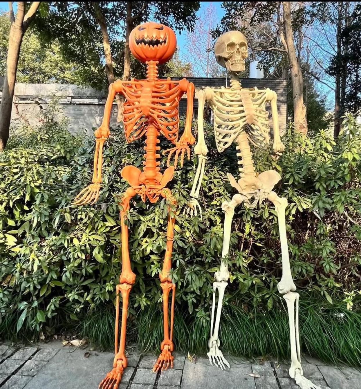 Set of 2 Posable Skeletons Halloween Decoration *New*