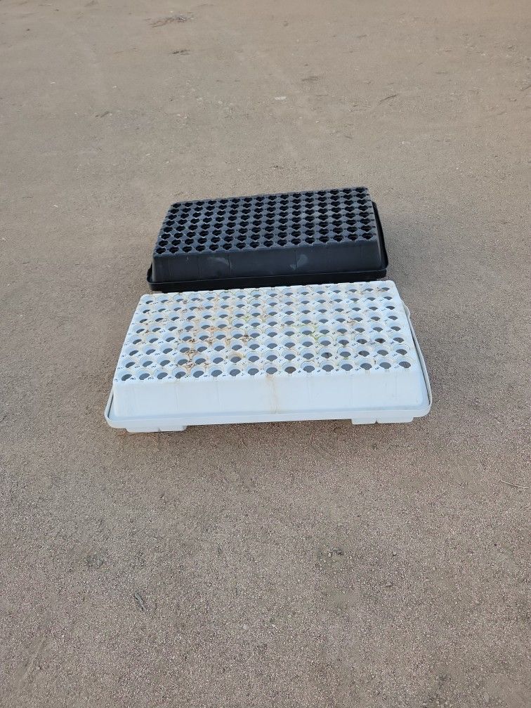 Two 128 Clone Trays 25.00 Each