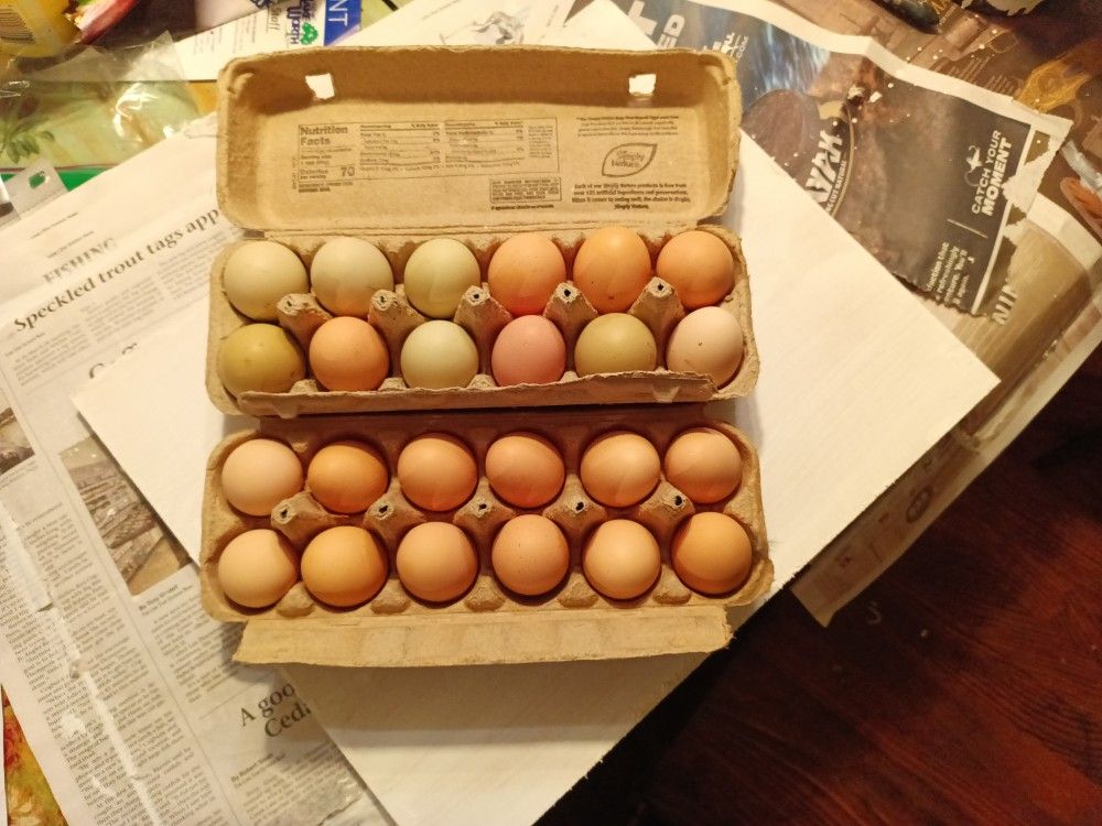 Fresh Eggs 