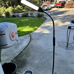 Esthetician/craft Lamp