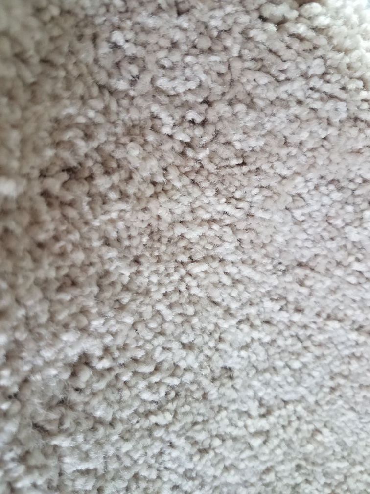 Carpet installation