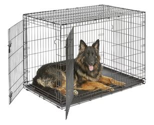 Like New Double Door Extra Large XL 48" Long Dog Crate Kennel