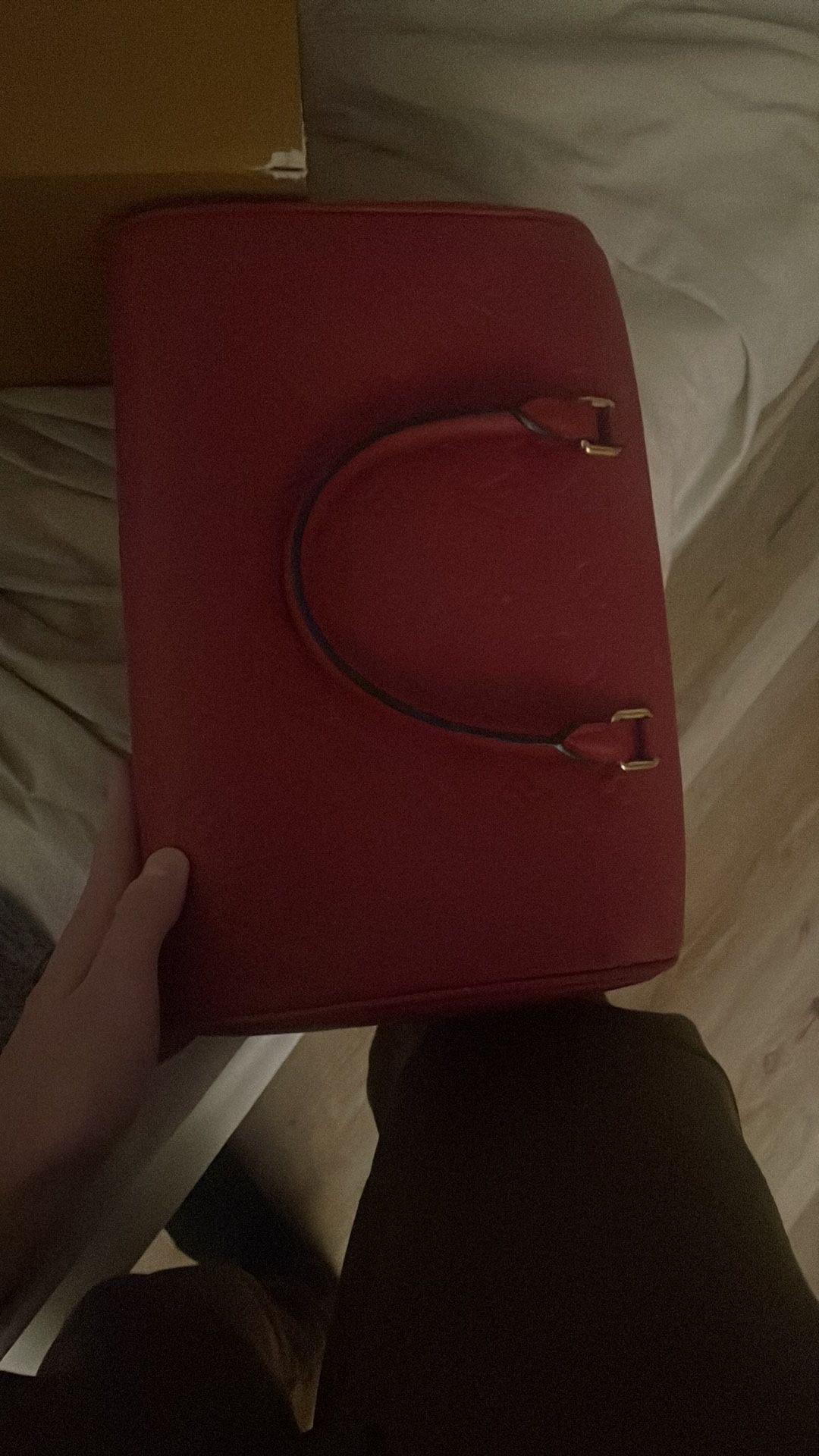Louis vuttion bag