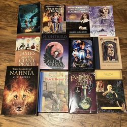 Lot Of 12 Chapter Books, Grades 3-6