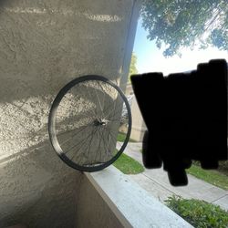 fixie rims