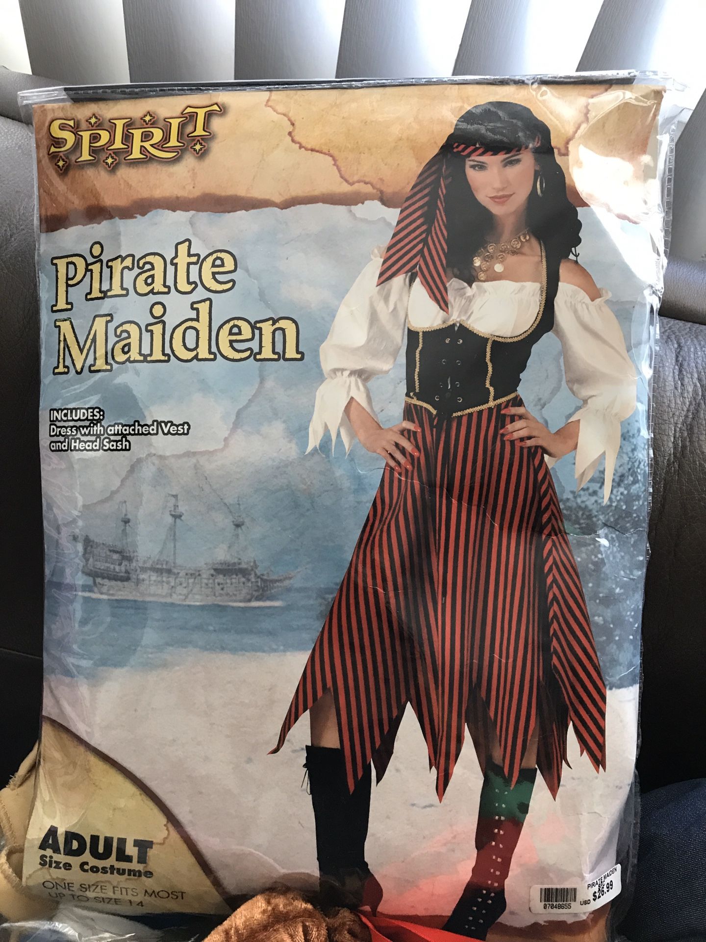 Female pirate maiden costume