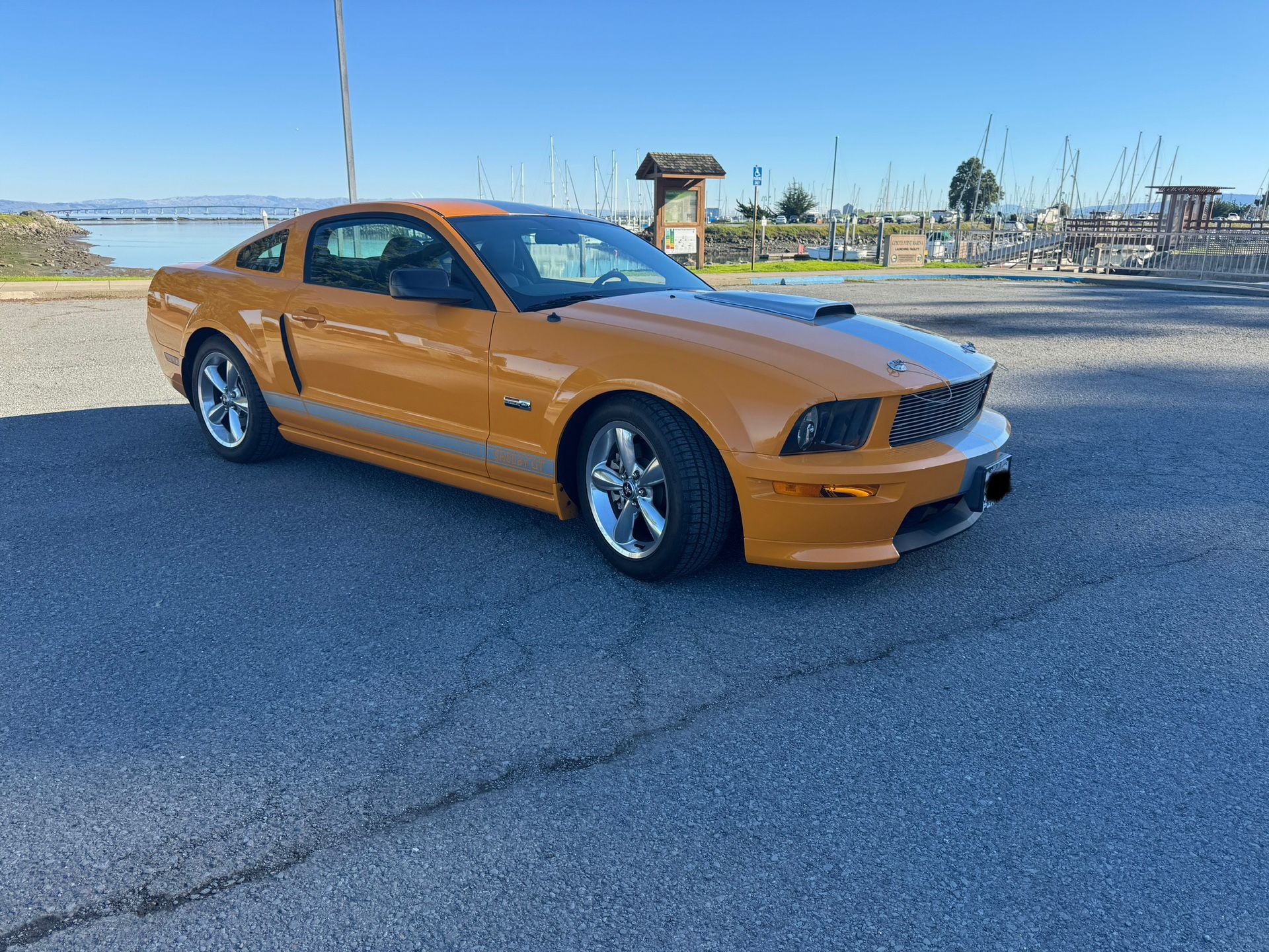 2008 Ford Mustang