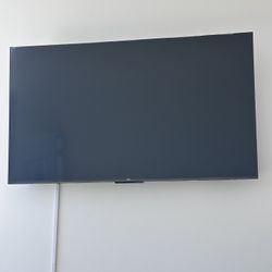 TCL 55” Smart Google Tv With Rocketfish Tilting Wall Mount