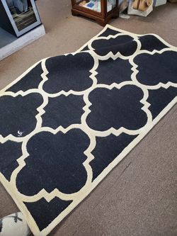5x7 area rug new 100.00