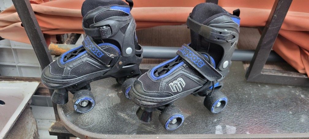 Adjustable Size Kid's Roller Skates.