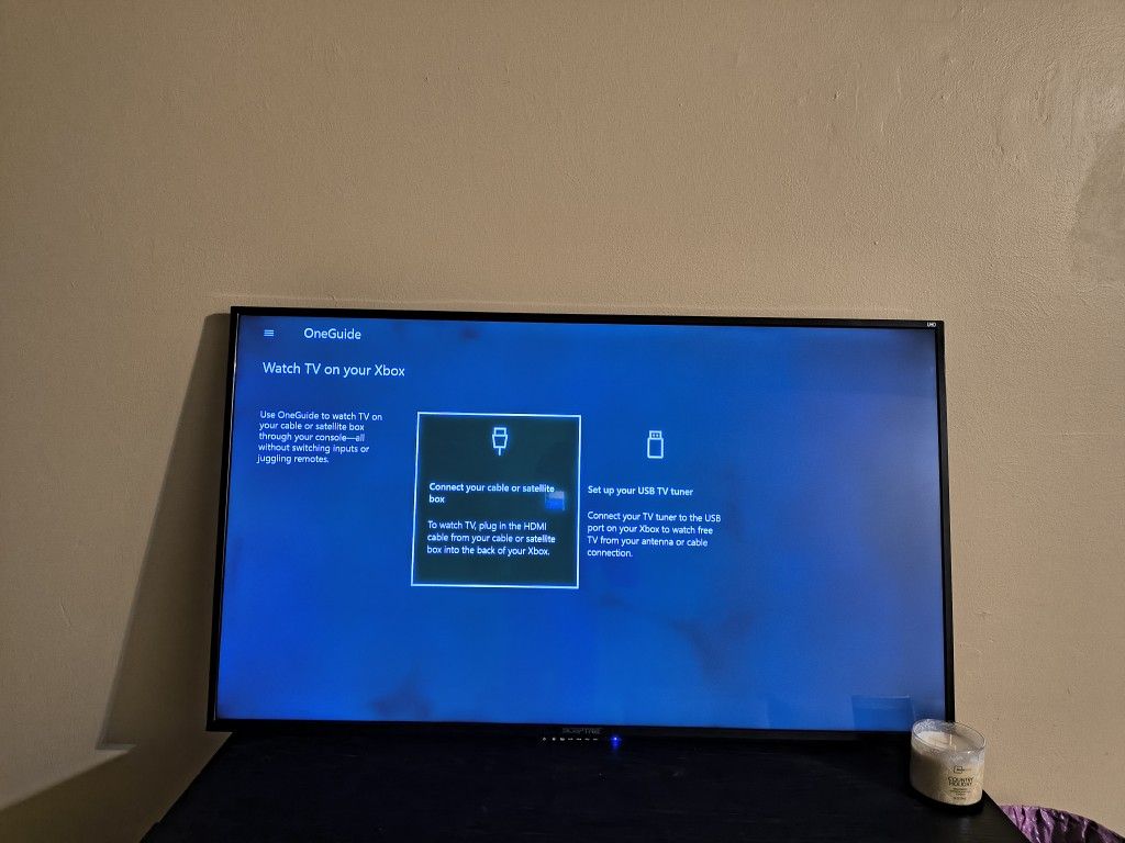 65' Sceptre Flatscreen TV