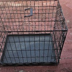 Dog Cage 
