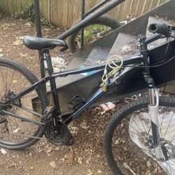 Schwinn Mountain Bike Disc Breaks