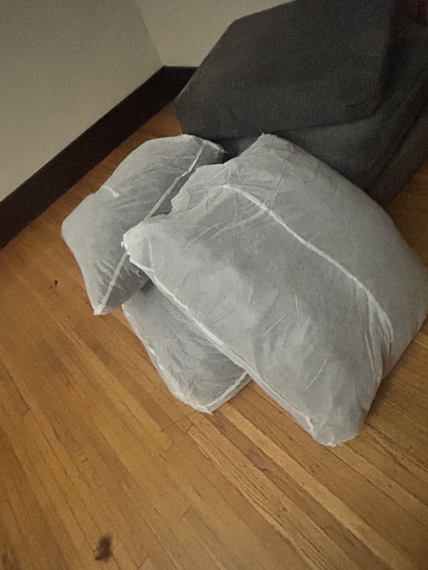 FREE COUCH