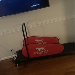 Dog Pacer Treadmill 