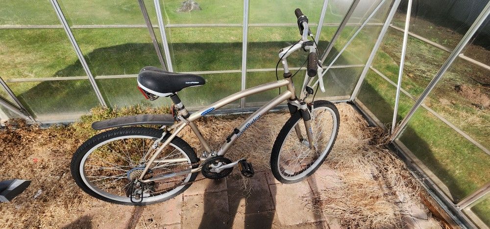 Men's Mountain Bike