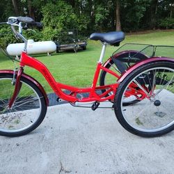 Adult Tricycle