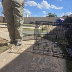 Dog Cage
