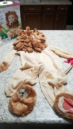 Lion costume