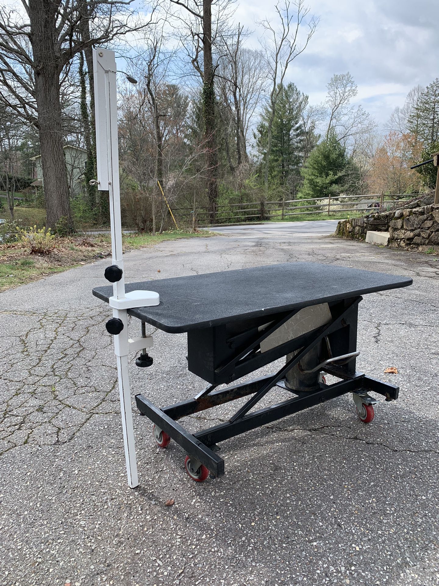 Pet Lift Hydraulic Grooming Table With Arm