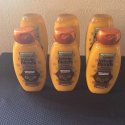 Garnier Whole Blends Shampoo & Conditioner 