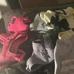 Pet Clothes 
