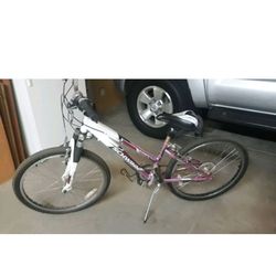 Schwinn Ranger Girl’s Mountain Bike