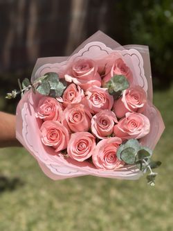 Pink Rose