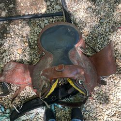 Saddles