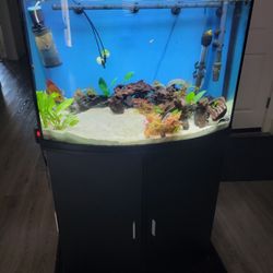 36 Gallon Aquarium 