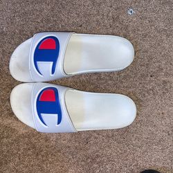 Champion Slides 