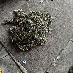 Chains And Binders For Heavy Duty Transport 