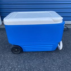 Large Cooler 