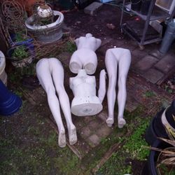 Mannequins