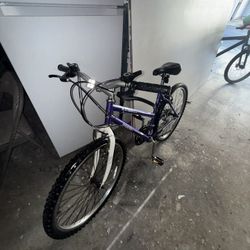 Dyncraft Ladies Bike